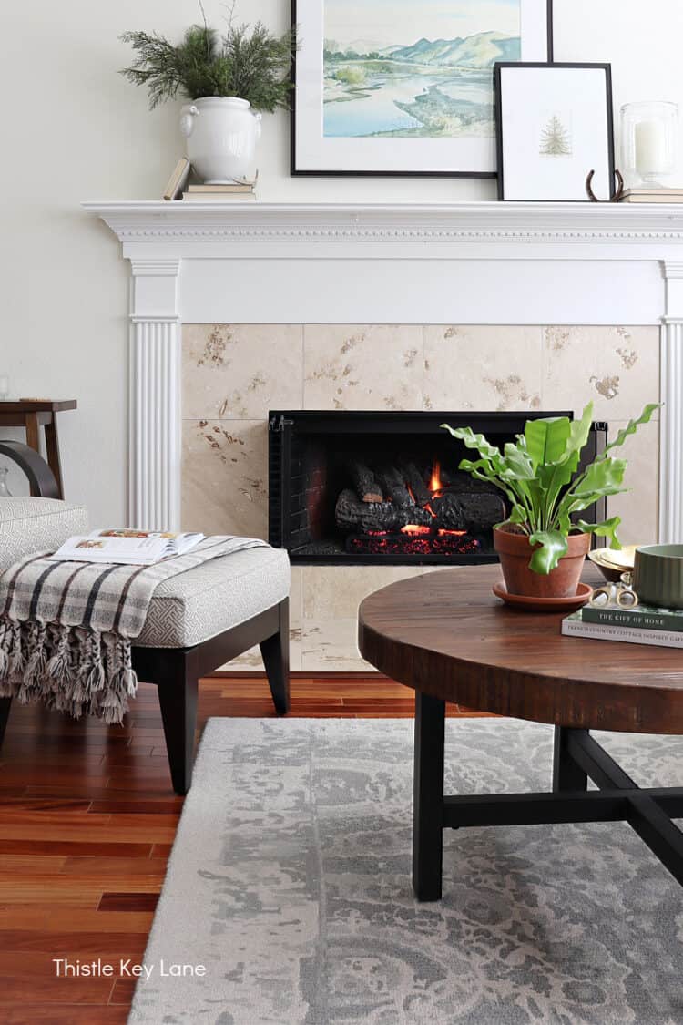 Transitional Mantel with Winter Greenery and Potted Plant — Winter Mantel Decor