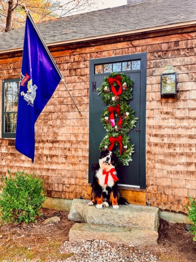 Rustic Charm with Stacked Wreaths and a Dog — Winter Front Door Decor
